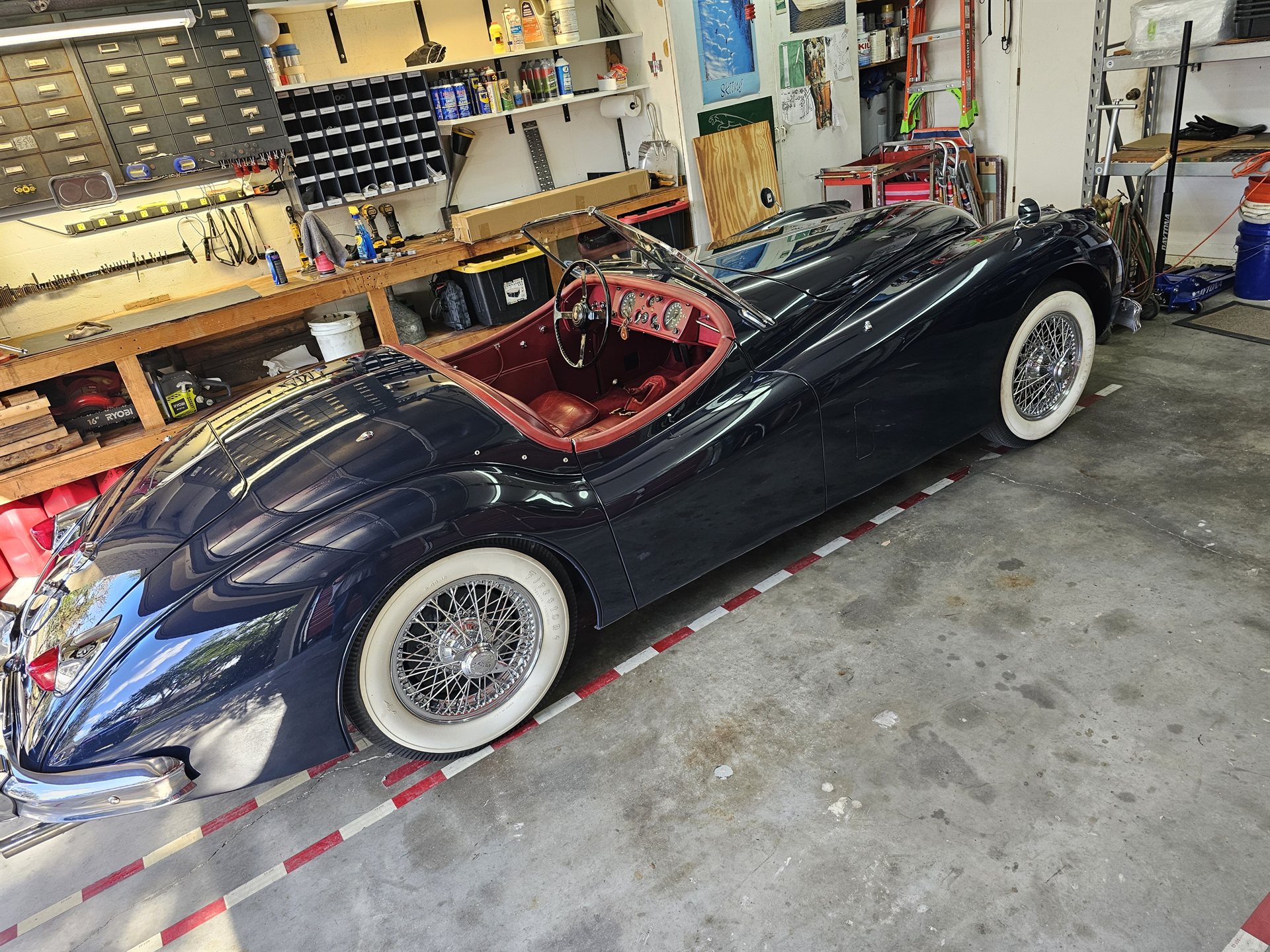Jaguar