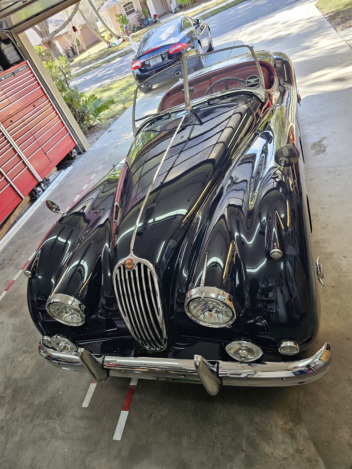 Jaguar