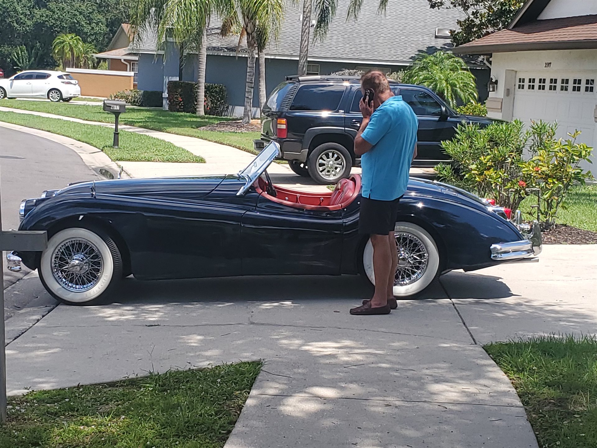 Jaguar